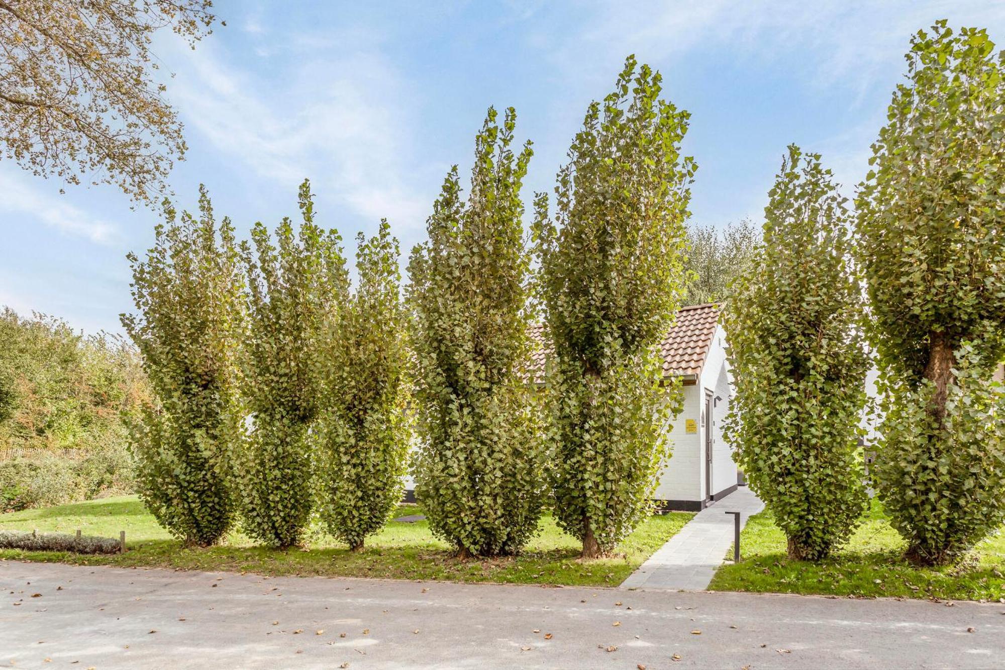 Casa Marit Villa Westouter Buitenkant foto